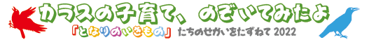 カラスの子育て、のぞいてみたよ　「となりのいきもの」たちのせかいをたずねて 2022