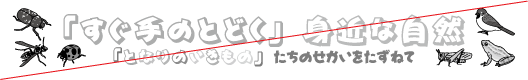 「すぐ手のとどく」身近な自然　「となりのいきもの」たちのせかいをたずねて